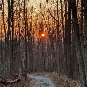 Meet your Posher, Claire